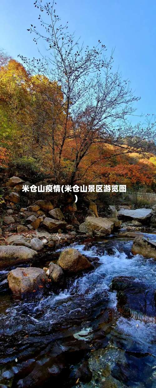 米仓山疫情(米仓山景区游览图)-第2张图片