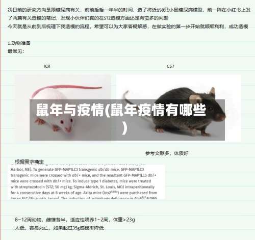 鼠年与疫情(鼠年疫情有哪些)