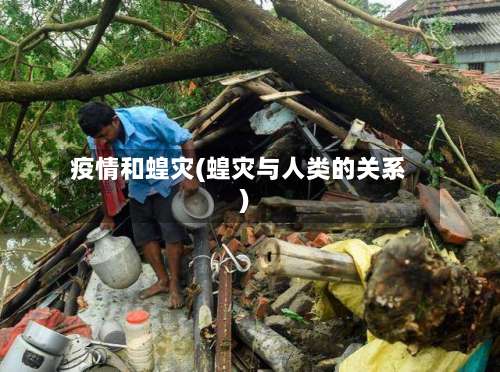 疫情和蝗灾(蝗灾与人类的关系)-第2张图片