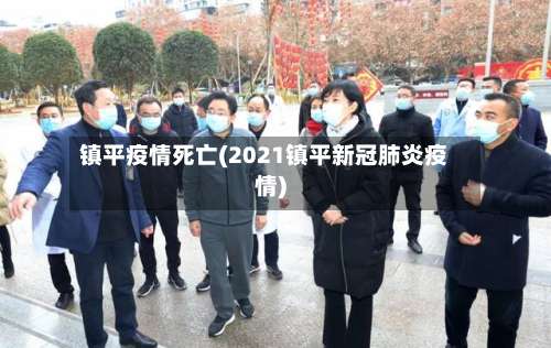 镇平疫情死亡(2021镇平新冠肺炎疫情)-第2张图片