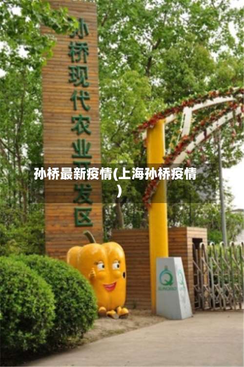 孙桥最新疫情(上海孙桥疫情)