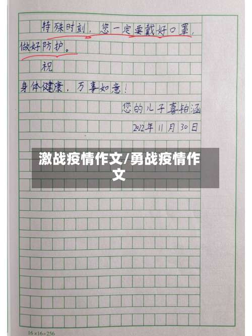 激战疫情作文/勇战疫情作文-第2张图片