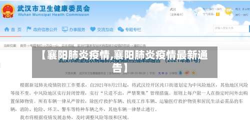 【襄阳肺炎疫情,襄阳肺炎疫情最新通告】-第2张图片