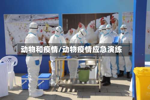 动物和疫情/动物疫情应急演练-第3张图片