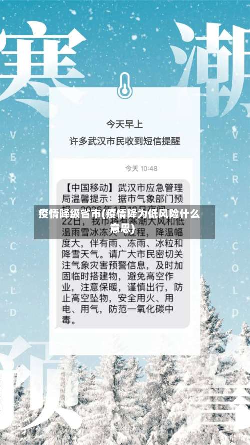 疫情降级省市(疫情降为低风险什么意思)