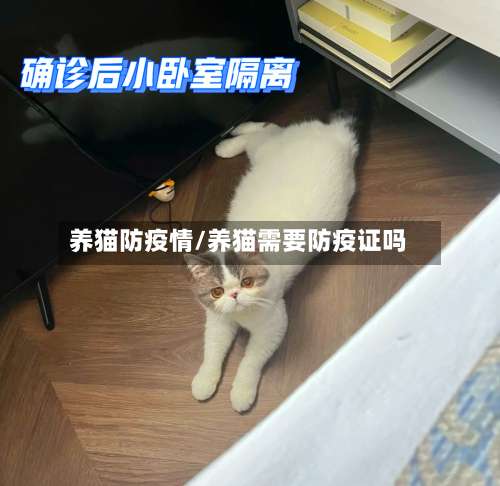 养猫防疫情/养猫需要防疫证吗