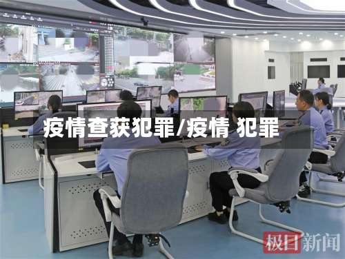 疫情查获犯罪/疫情 犯罪-第2张图片