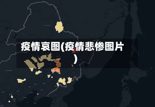 疫情哀图(疫情悲惨图片)