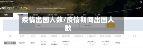 疫情出国人数/疫情期间出国人数
