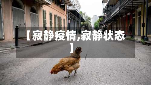 【寂静疫情,寂静状态】-第2张图片