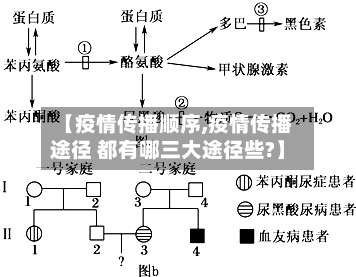 【疫情传播顺序,疫情传播途径 都有哪三大途径些?】