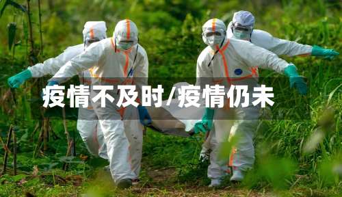疫情不及时/疫情仍未-第2张图片