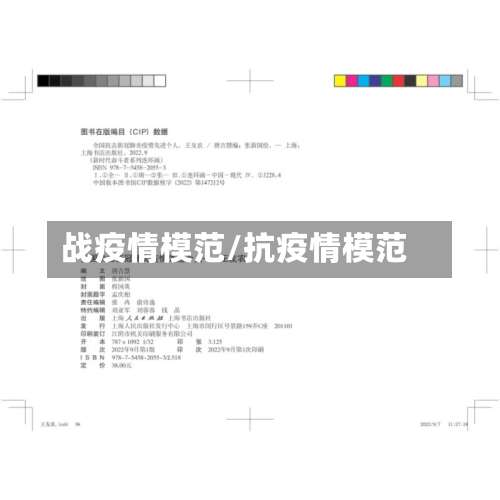 战疫情模范/抗疫情模范