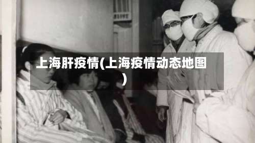 上海肝疫情(上海疫情动态地图)