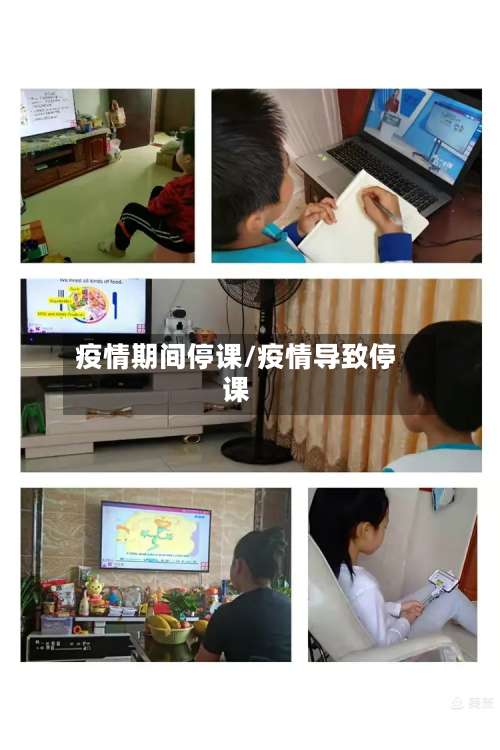 疫情期间停课/疫情导致停课