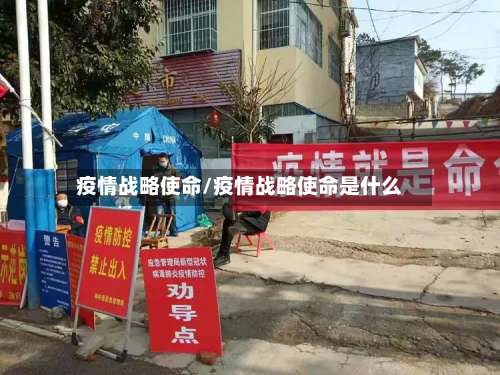 疫情战略使命/疫情战略使命是什么