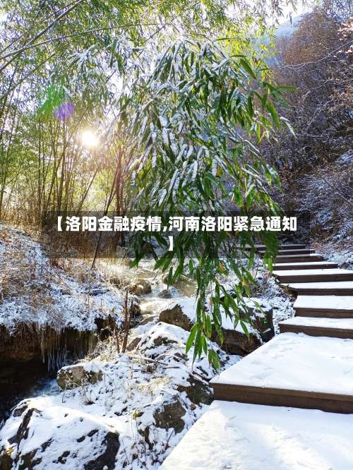 【洛阳金融疫情,河南洛阳紧急通知】-第2张图片