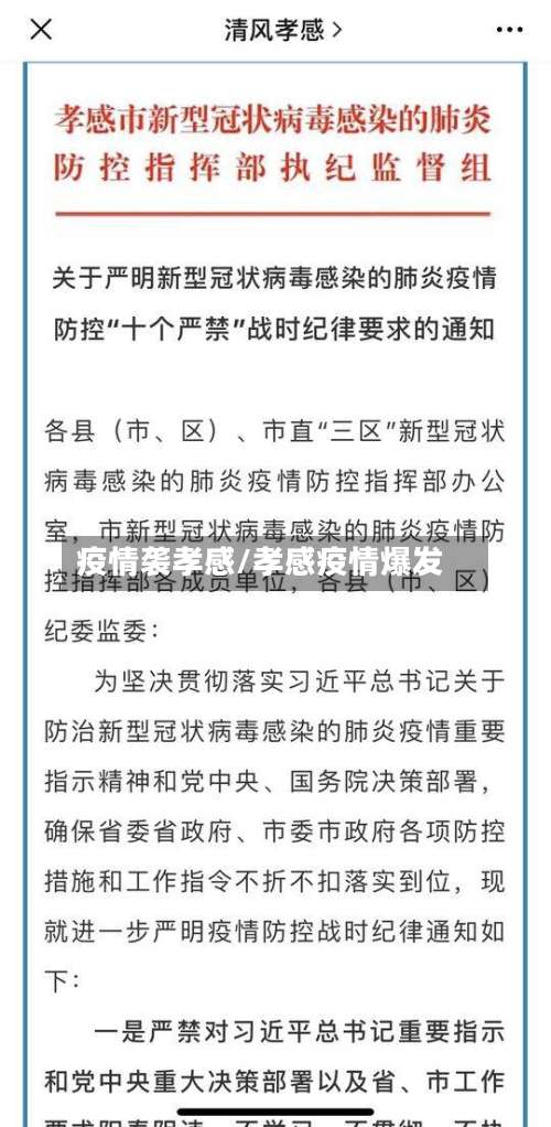 疫情袭孝感/孝感疫情爆发