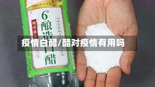 疫情白醋/醋对疫情有用吗