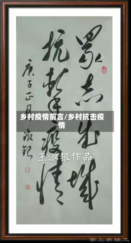 乡村疫情前言/乡村抗击疫情