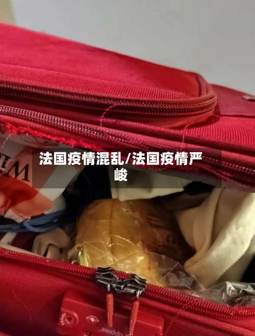 法国疫情混乱/法国疫情严峻