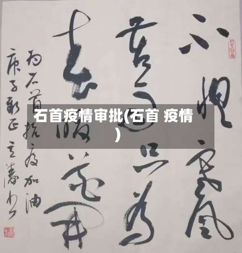 石首疫情审批(石首 疫情)-第3张图片