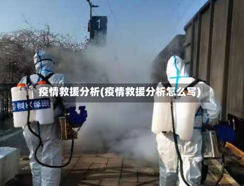 疫情救援分析(疫情救援分析怎么写)