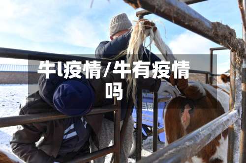 牛l疫情/牛有疫情吗-第3张图片