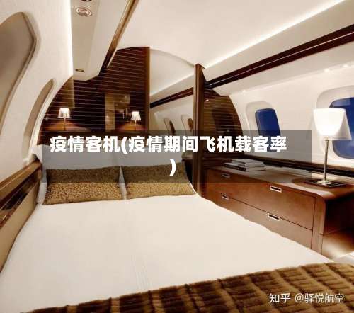 疫情客机(疫情期间飞机载客率)-第2张图片