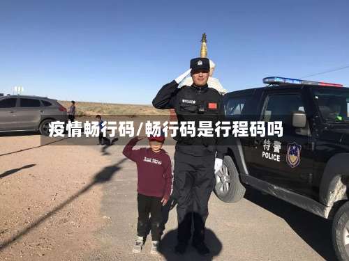 疫情畅行码/畅行码是行程码吗-第3张图片