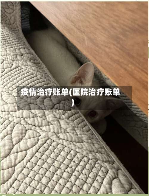 疫情治疗账单(医院治疗账单)