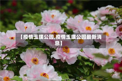 【疫情玉璞公园,疫情玉璞公园最新消息】