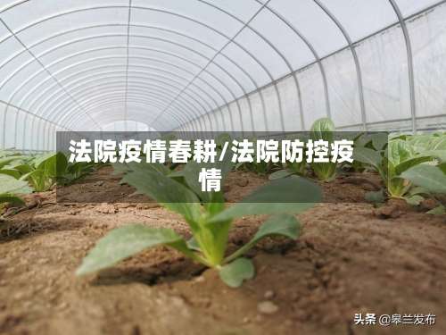 法院疫情春耕/法院防控疫情-第2张图片