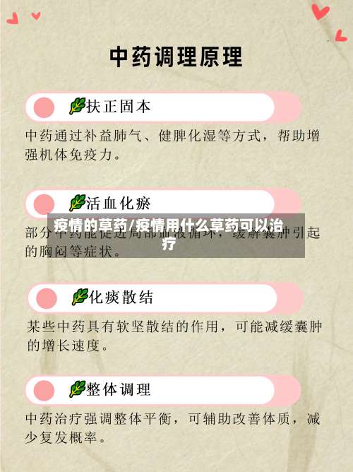 疫情的草药/疫情用什么草药可以治疗-第3张图片