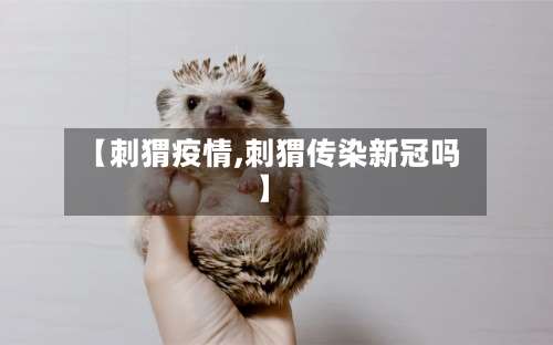 【刺猬疫情,刺猬传染新冠吗】