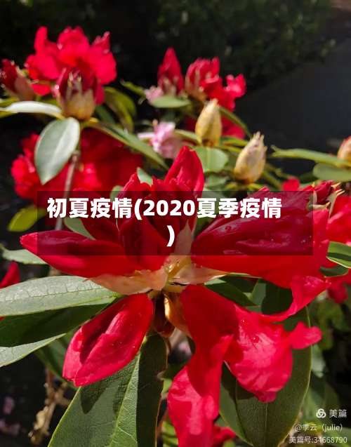 初夏疫情(2020夏季疫情)