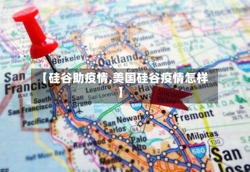 【硅谷助疫情,美国硅谷疫情怎样】
