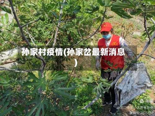 孙家村疫情(孙家岔最新消息)