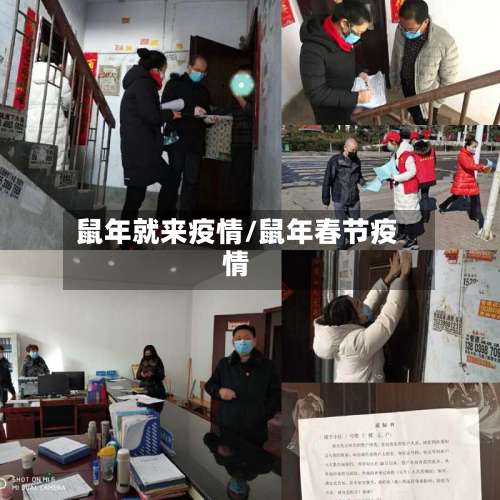 鼠年就来疫情/鼠年春节疫情-第3张图片