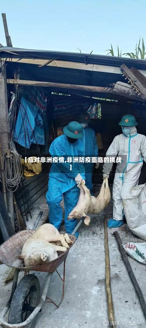 【应对非洲疫情,非洲防疫面临的挑战】
