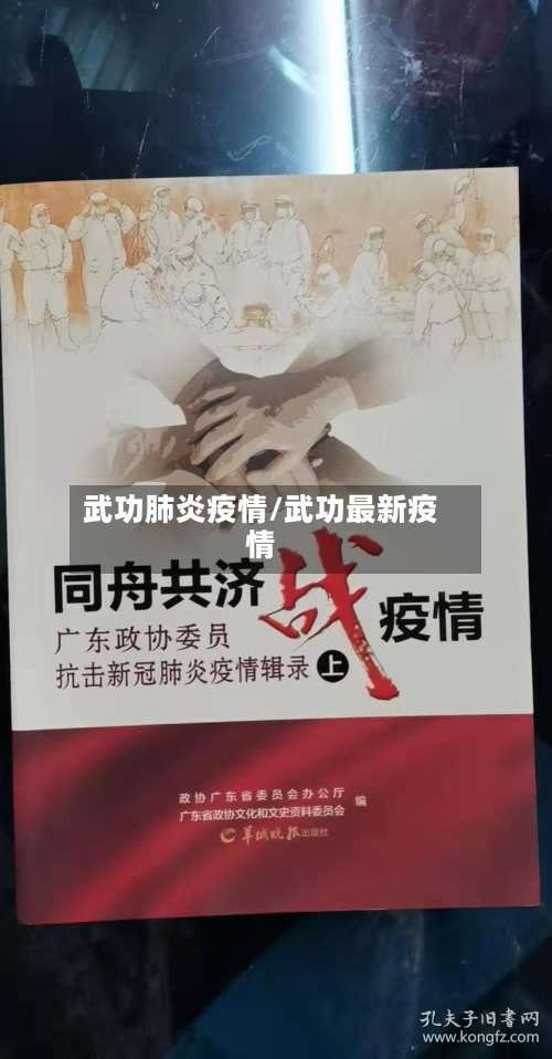 武功肺炎疫情/武功最新疫情