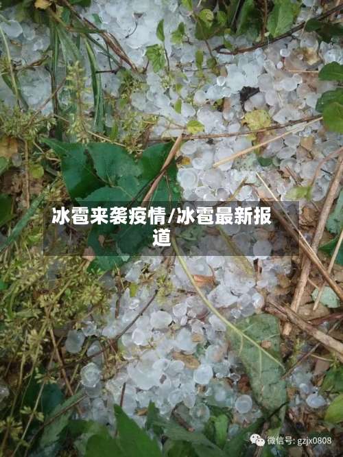 冰雹来袭疫情/冰雹最新报道-第3张图片