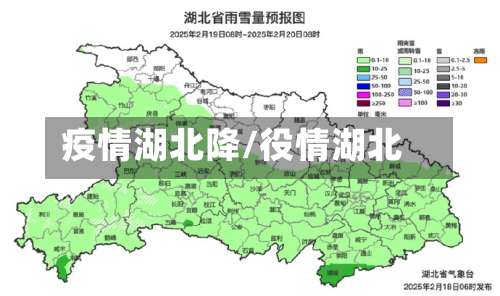 疫情湖北降/役情湖北-第2张图片