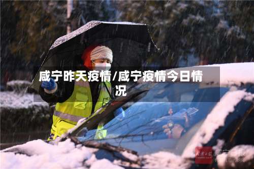 咸宁昨天疫情/咸宁疫情今日情况-第2张图片