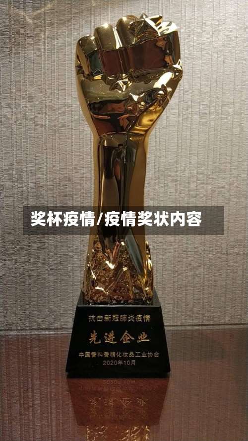 奖杯疫情/疫情奖状内容-第2张图片