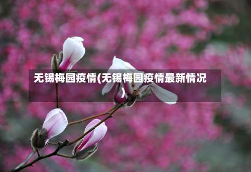 无锡梅园疫情(无锡梅园疫情最新情况)