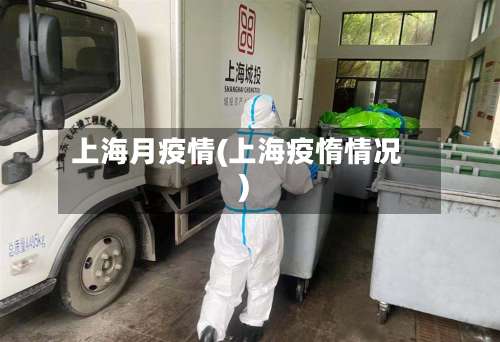 上海月疫情(上海疫惰情况)-第3张图片