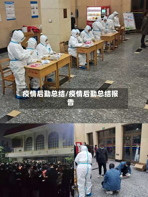 疫情后勤总结/疫情后勤总结报告
