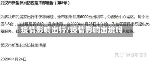 疫情影响出行/疫情影响出境吗-第2张图片