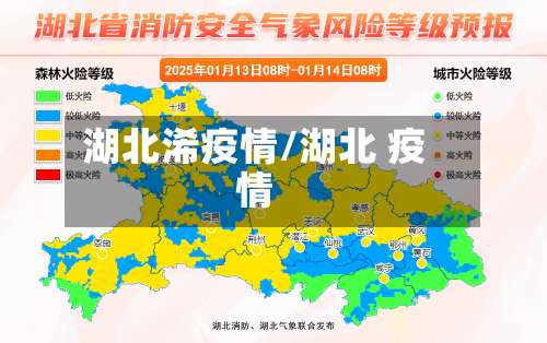 湖北浠疫情/湖北 疫情-第3张图片